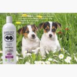 Calming 2 In 1 Shampoo Lavender