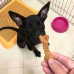 Pawmeal Minty Peanut Butter & Banana Bones