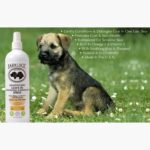 Sensitive Skin Leave In Conditioning & Detangling Spray Tangerine