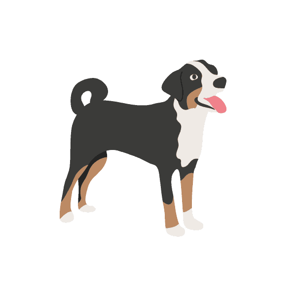 Pawmeal Value Proposition 1 Rev1