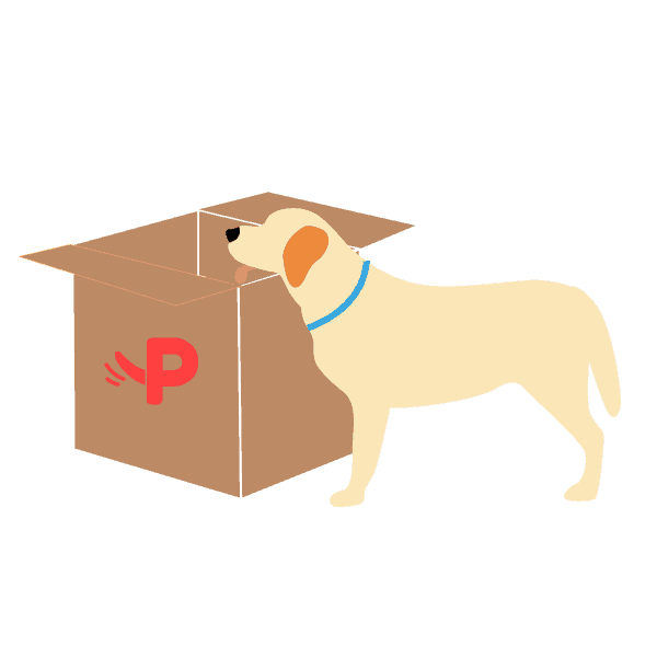Pawmeal Value Proposition 3 Rev1
