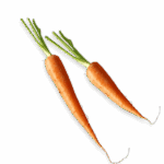 Carrots 600x600