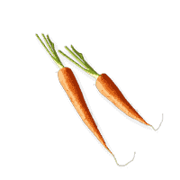 Pawmeal Carrots 200x200