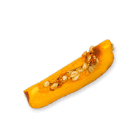 Pawmeal Pumpkin 200x200