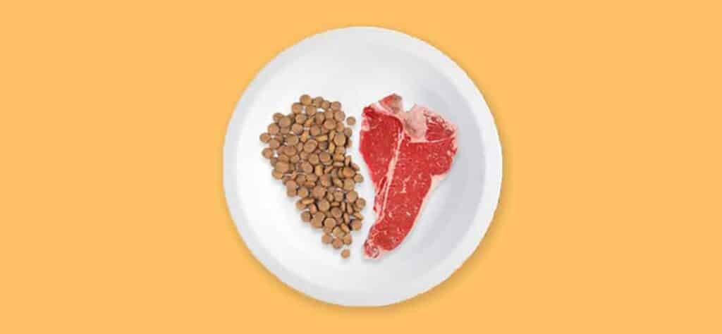 Pawmeal Types Of Dog Food Comparison