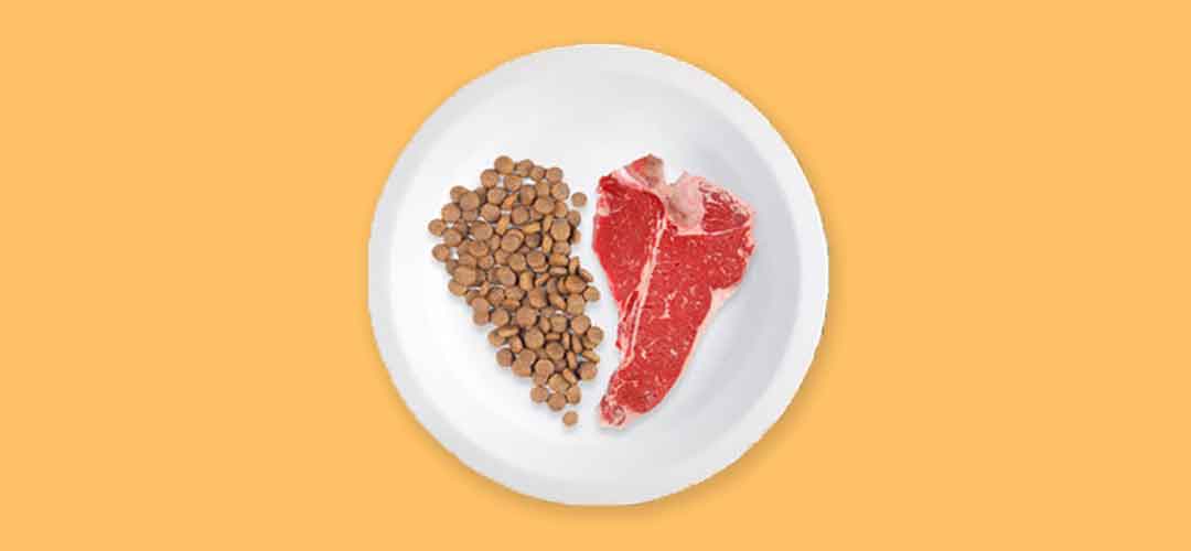Pawmeal Types Of Dog Food Comparison
