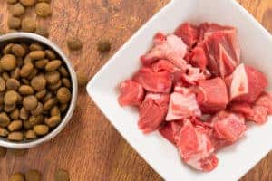 Raw meat in a bowl as opposite of dry dog food