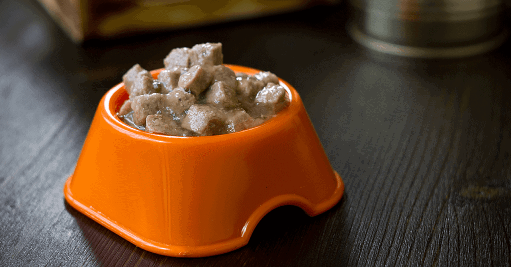 Best Types of Cat and Dog Food? A Quick Comparison Pawmeal