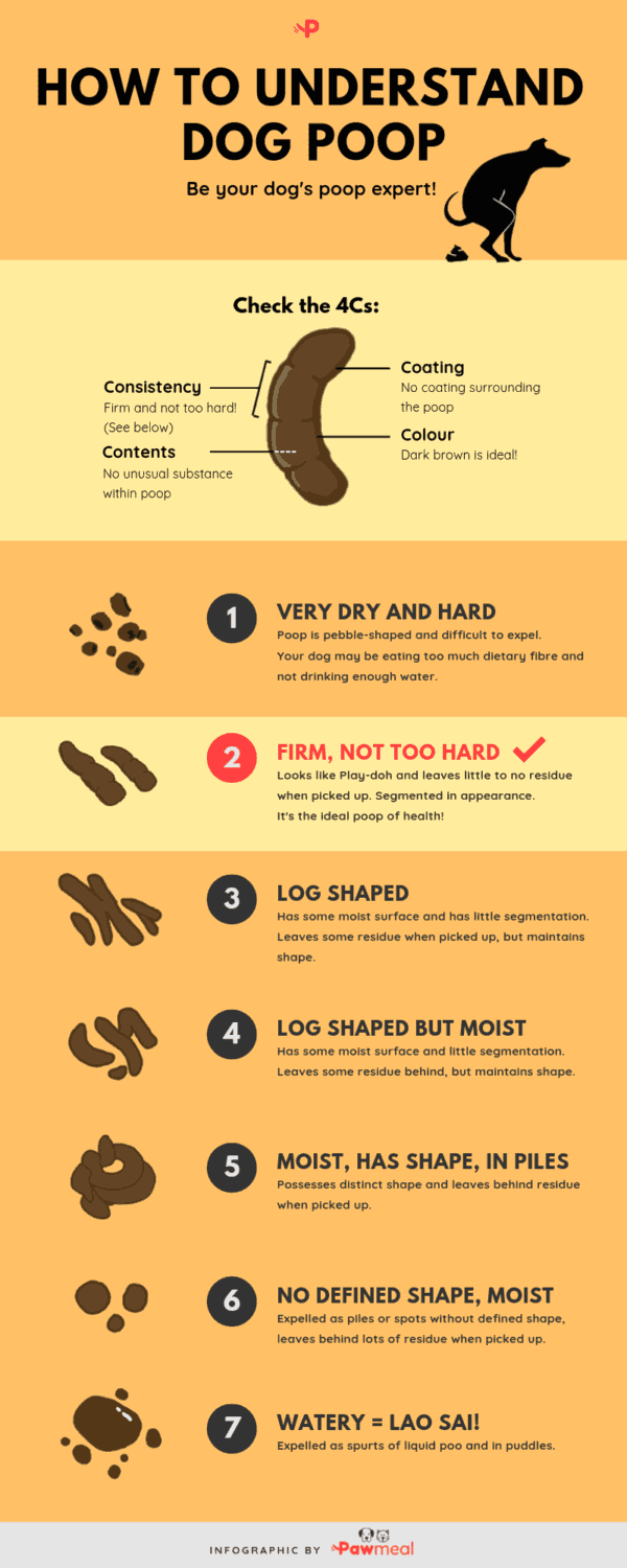 dog-poop-chart-printable-pdf-download-the-ultimate-dog-poop-color