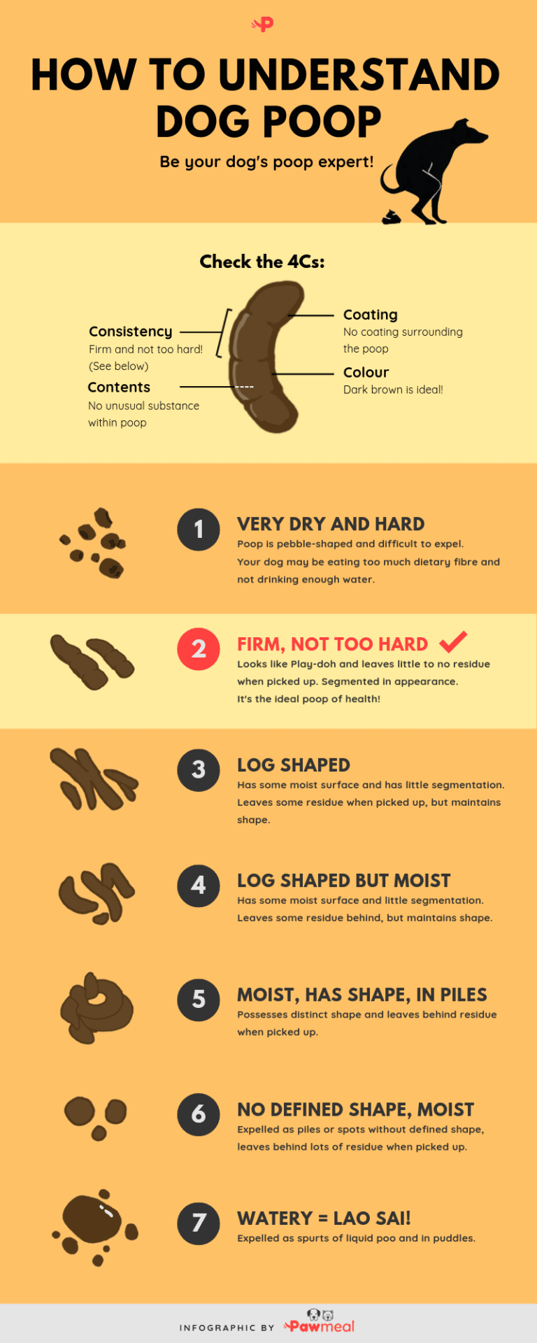 color of your poop chart stool color changes and chart what does it ...