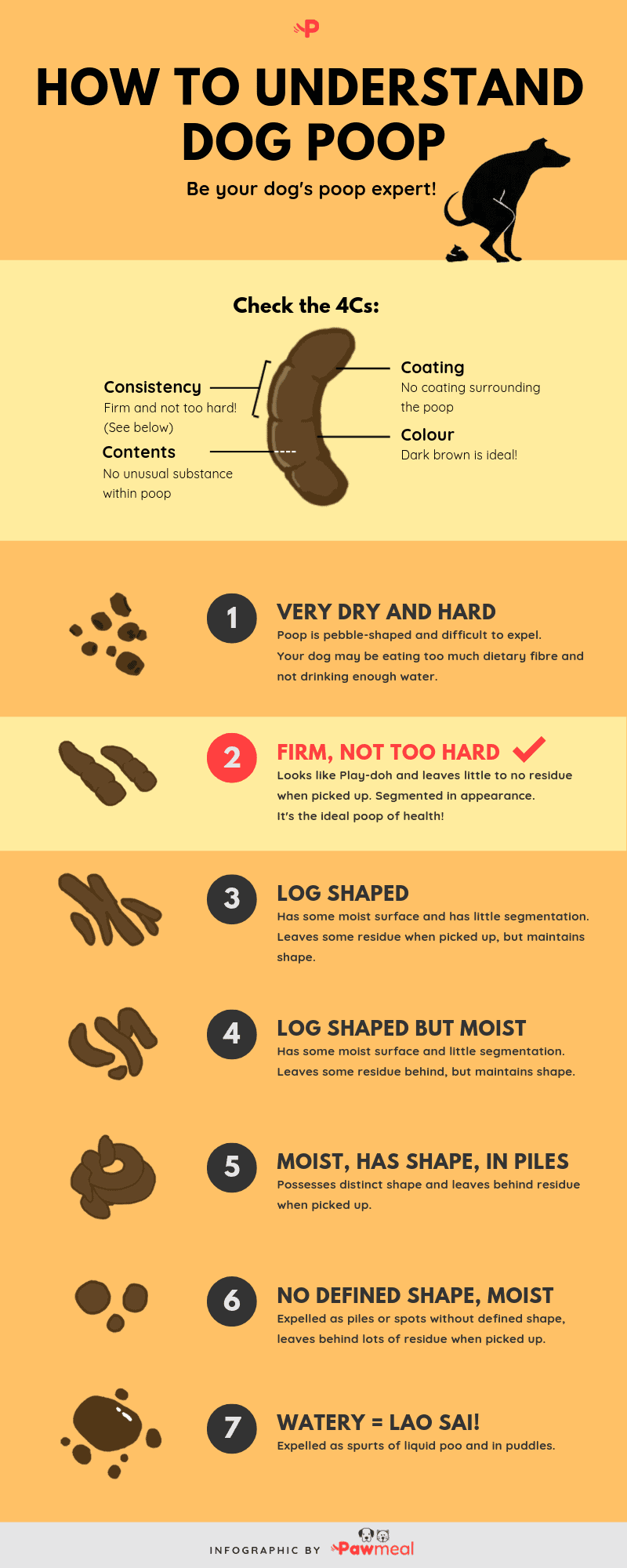 Pawmeal How To Understand Dog Poop
