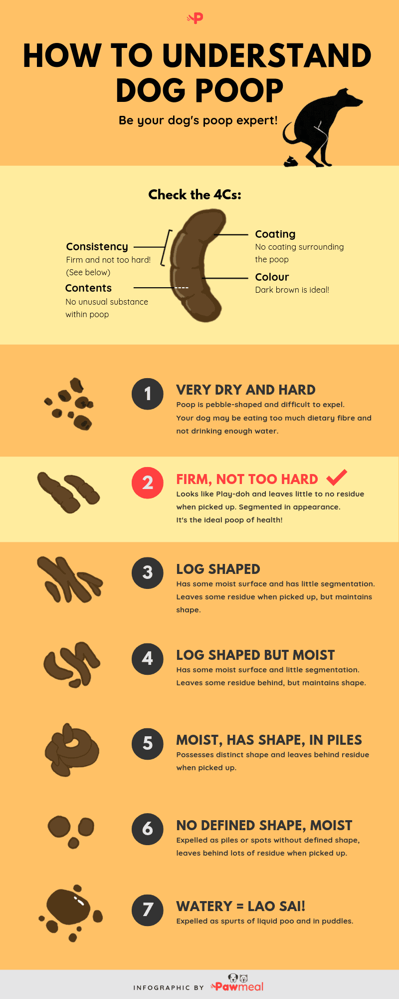 How To Understand Dog Poop With Stool Chart Infographic Pawmeal Sg