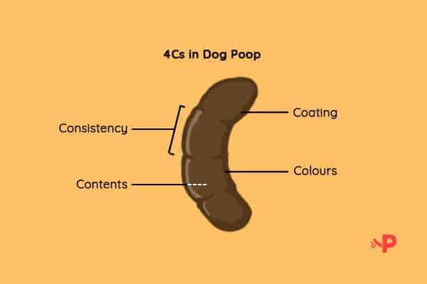 Dog Stool Colour Chart