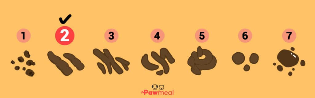 Pawmeal Dog Poop Scale