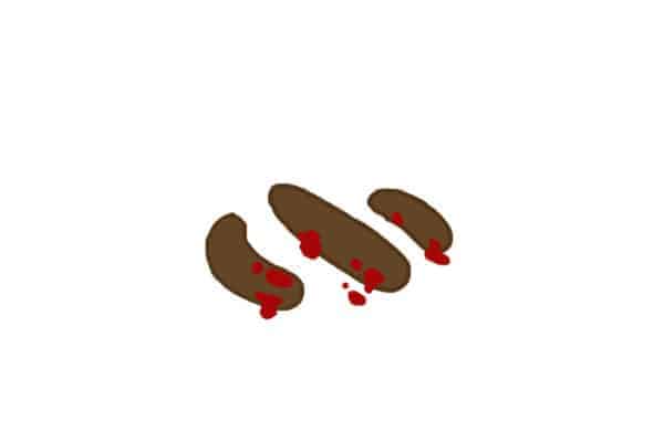 Poop Meaning - Blood In Poop - By Pawmeal