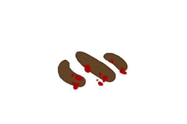 what does it mean when my dog poops blood