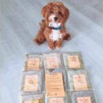 Pawmeal and Mo Cha