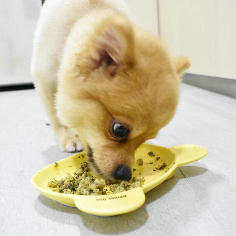 Pawmeal and Baby