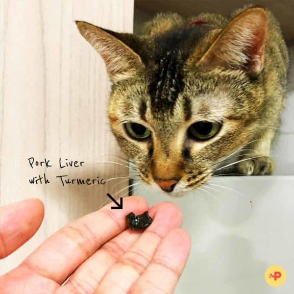 Pawmeal Pork Liver With Turmeric 4 1000x1000 Pawmeal Dehydrated Pork Liver with Turmeric