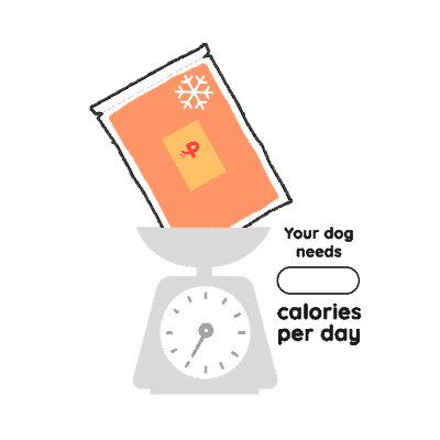 Pawmeal Feed Customised