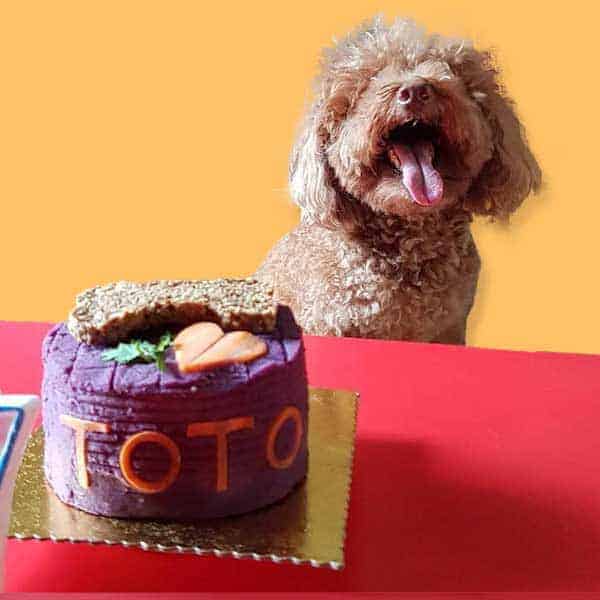 Pawmeal Barkday Cake 4 Rev1 600x600 Pawmeal Barkday Cake