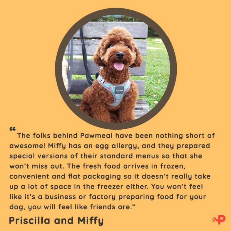 Pawmeal Miffy Review