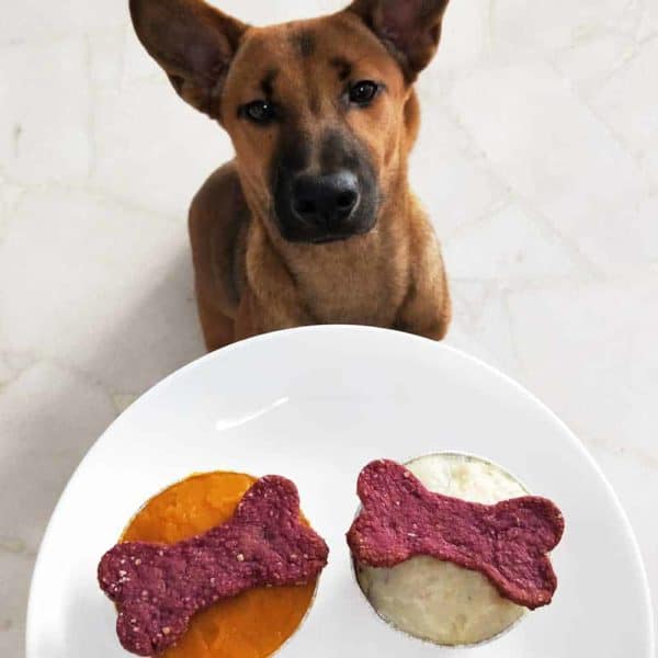 Pawmeal Pawp Cakes 4 1000x1000 Pawmeal Pawp Cakes (Pupcakes)