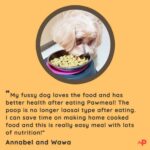 Pawmeal Wawa Review