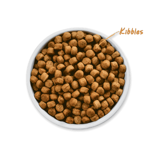 Bowl of Pawmeal Fresh Dog Food vs Kibbles