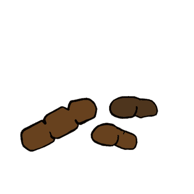 Healthy Dog Poop