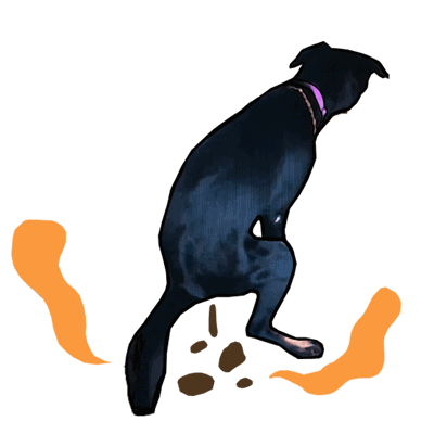 Rara Smelly Poop