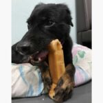 Pawmeal Handcrafted Himalayan Yak Chews for Dogs