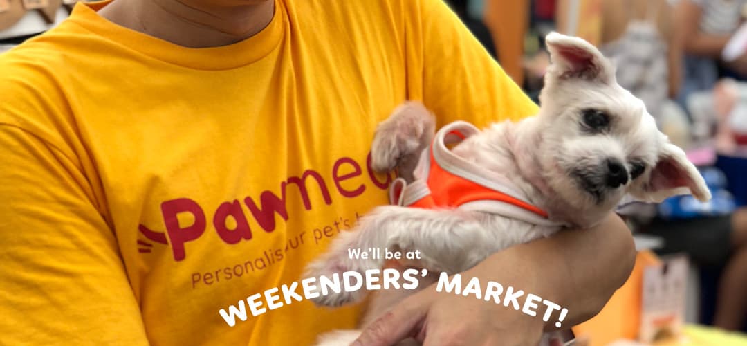 Pawmeal Weekenders Market at Jurong Play Grounds