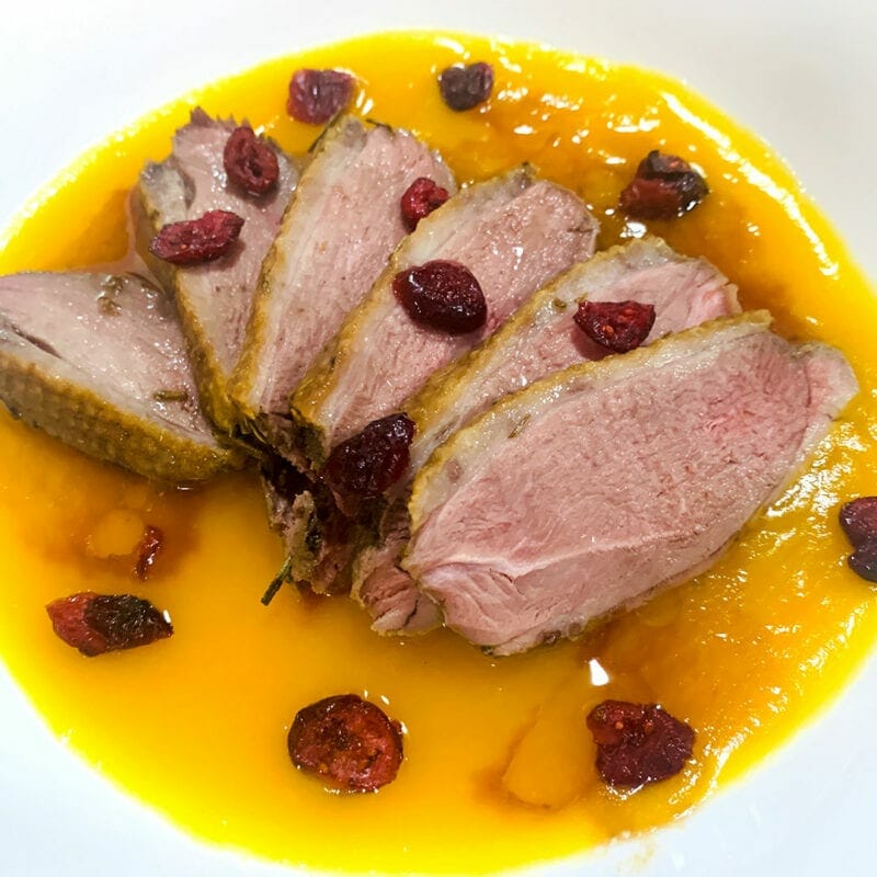 Pawmeal Roasted Duck Breast with Pumpkin Puree