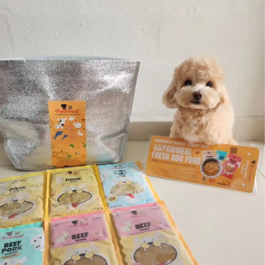 Jovine, Tomyum and Soba