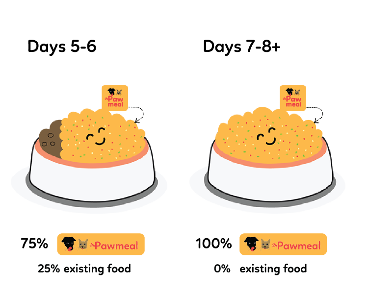 Transitioning to Pawmeal Days 5-7+