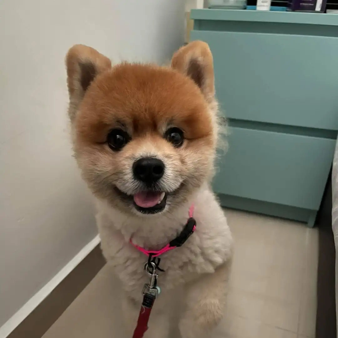 Happy and Vince Chew