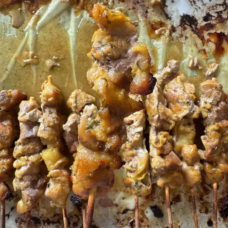 Pawmeal Pork Satay for Dogs