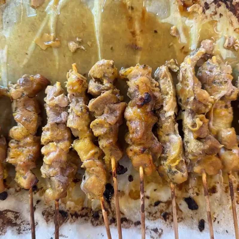 Pawmeal Pork Satay for Dogs