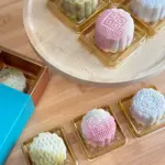 Pawmeal Snow Skin Mooncakes for Dogs and Cats