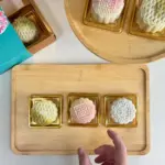 Pawmeal Snow Skin Mooncakes for Dogs and Cats